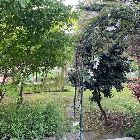 Altbauwohnung, Zentrum *